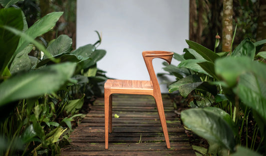 forest chair 2